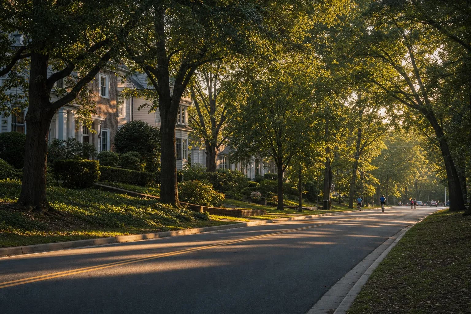 Atlanta Pedestrian Accident Lawyer: Peachtree Dunwoody Crashes