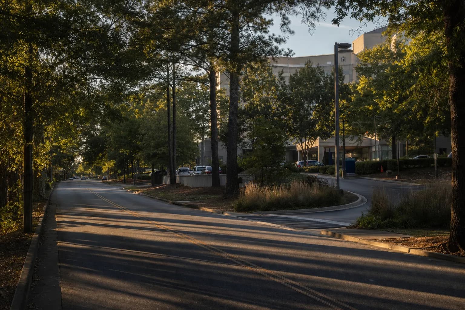 Pill Hill Peachtree Dunwoody Pedestrian Accident Lawyer Guide