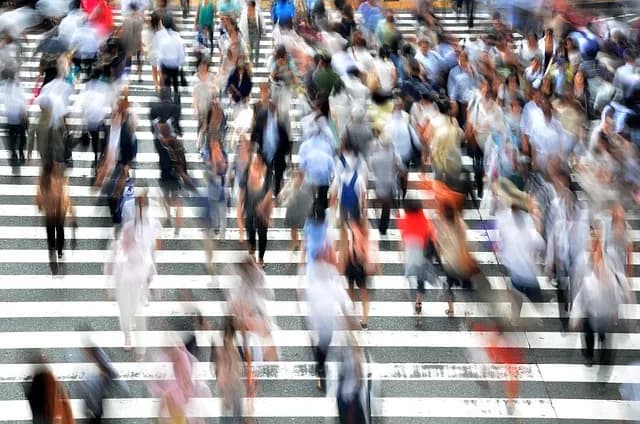 Savannah Pedestrian Ordinances: Navigating the City on Foot