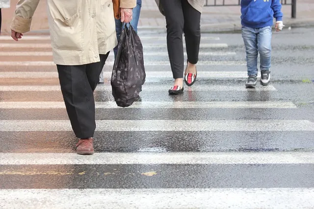 crosswalk, zebra, a pedestrian