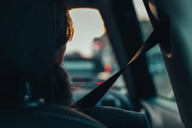 car, passenger, view