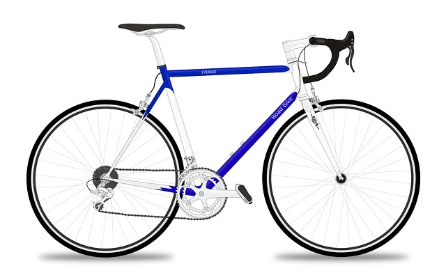 racing bicycle, racer, racing bike