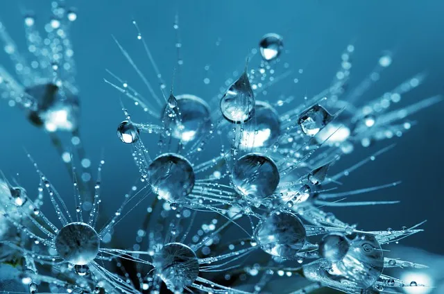 water, drops, 4k wallpaper 1920x1080