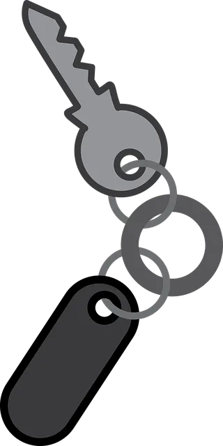 keys, keychain, house