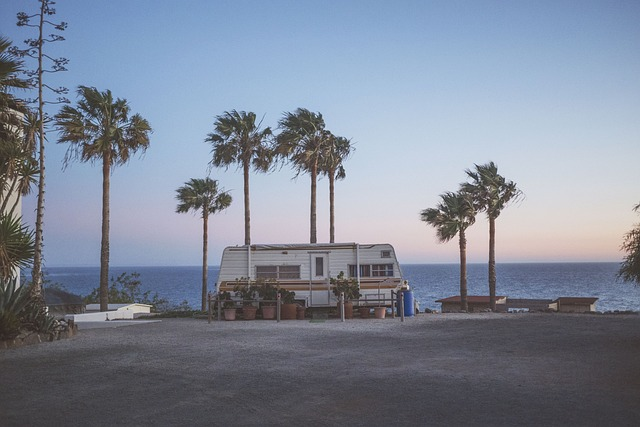 rv, camper, palm trees