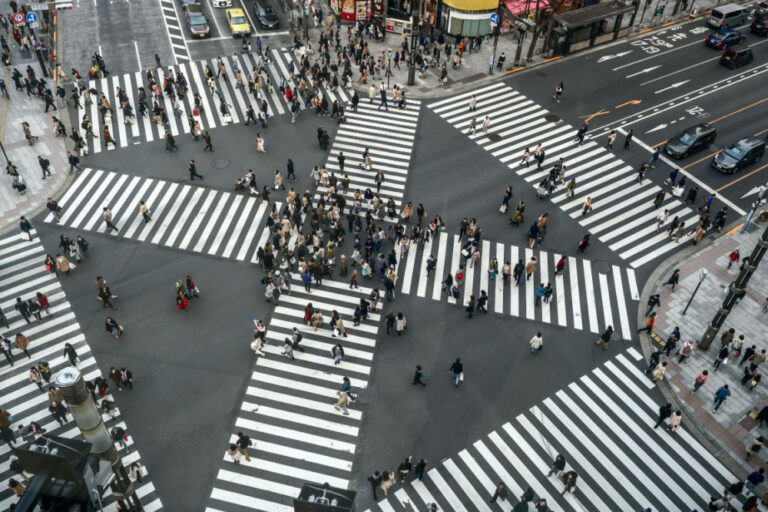 Pedestrian Rules in Georgia