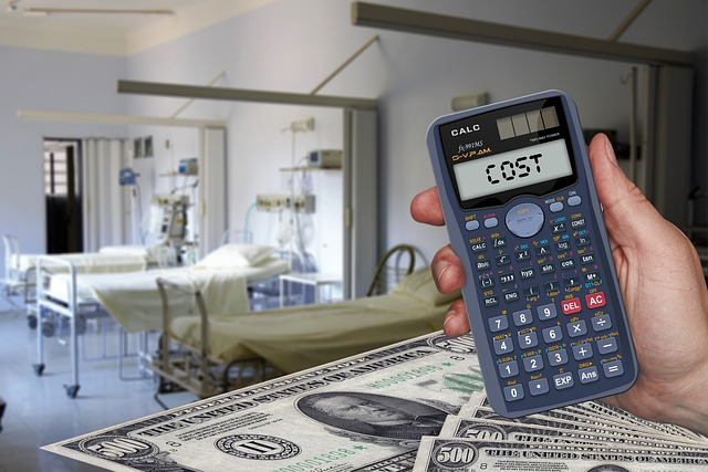cost, calculator, euro